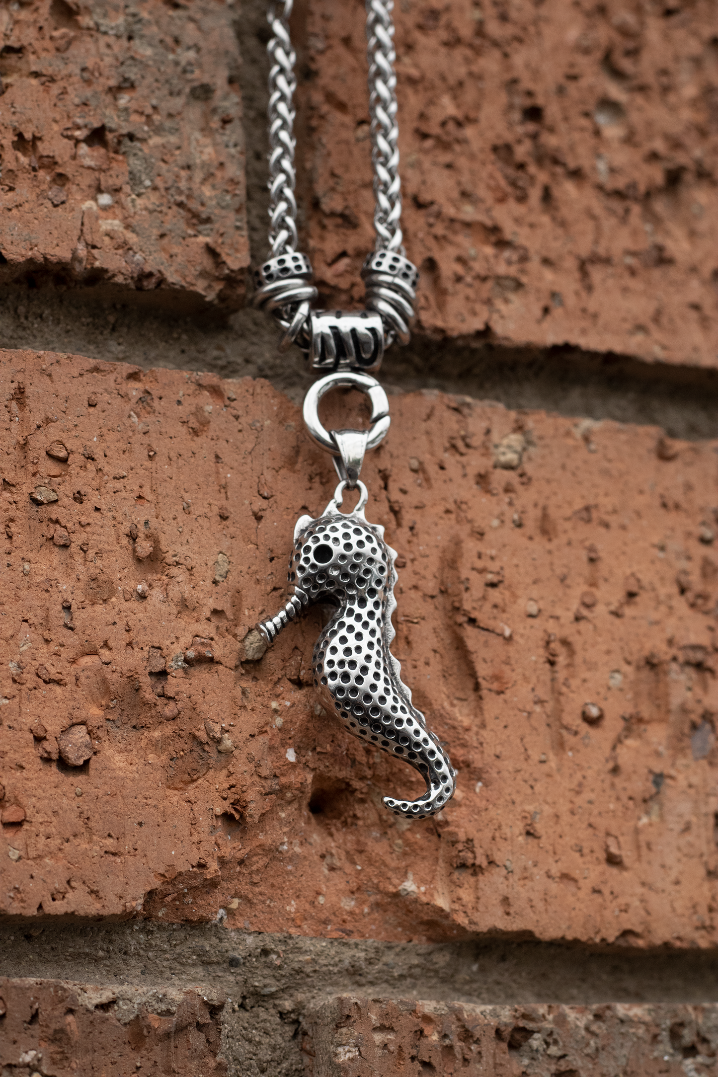 Stainless Sea Horse - Necklace